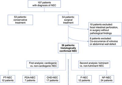 Clinical Characteristics of Necrotizing Enterocolitis in Preterm Patients With and Without Persistent Ductus Arteriosus and in Patients With Congenital Heart Disease